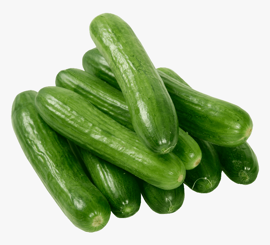 Cool Cucumber Free Vegetables Clipart Fruit Names A Single Vegetables