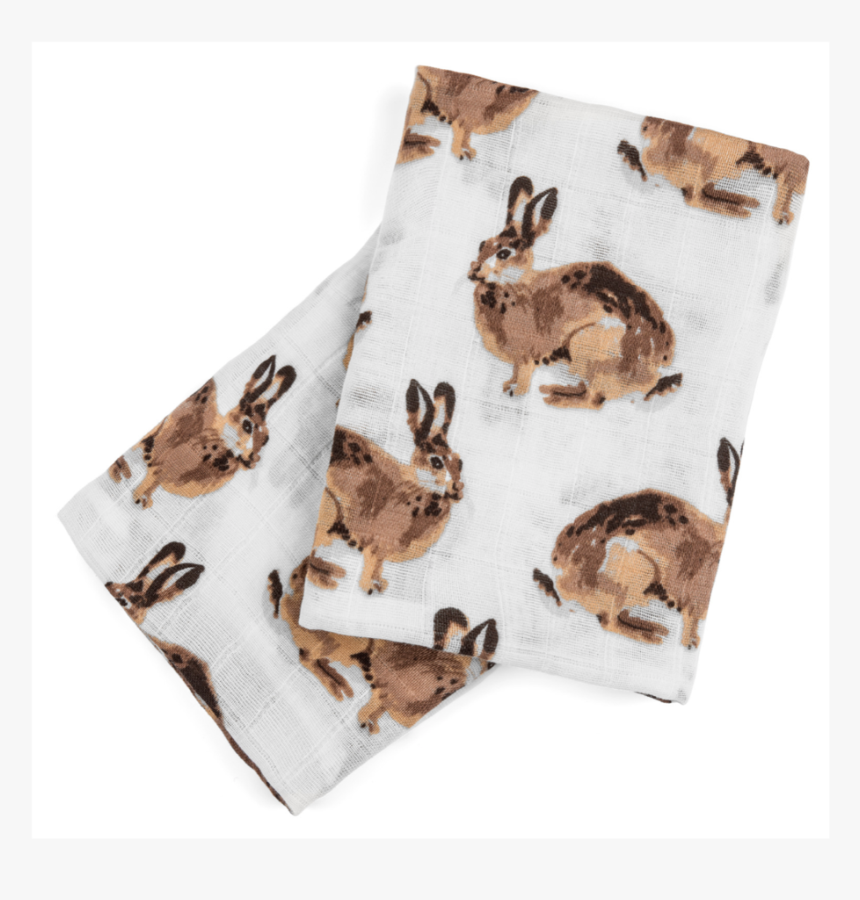 Brown Hare, HD Png Download