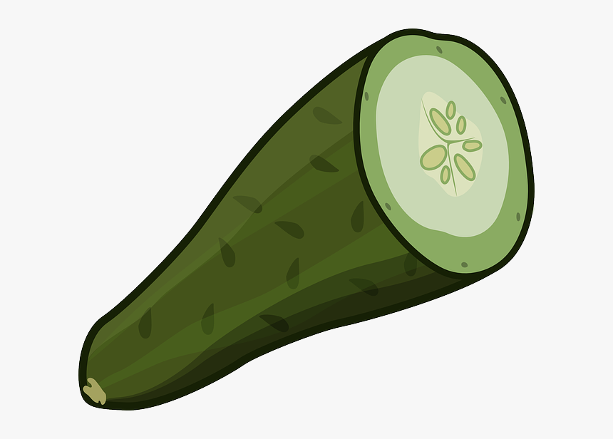Cucumber, Cut, Green, Vegetable, Nutrition, Fresh - Cut Cucumber Clipart, HD Png Download