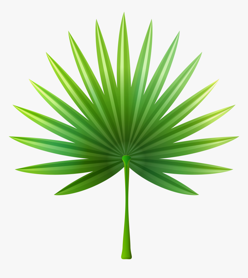 Exotic Leaf Png Clip Art, Transparent Png