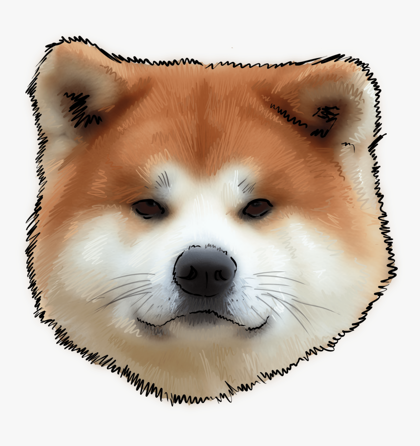 43 Why Are You An Akita Raça Do Cachorro Do Filme Sempre Ao Seu Lado, HD Png Download