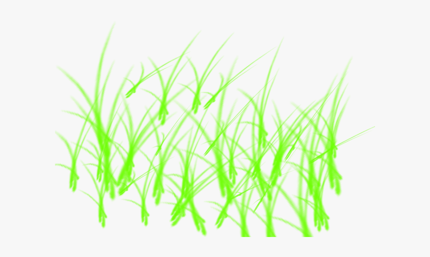 Clip Art Grass Texture Png For - Fondos Png Para Photoshop, Transparent Png