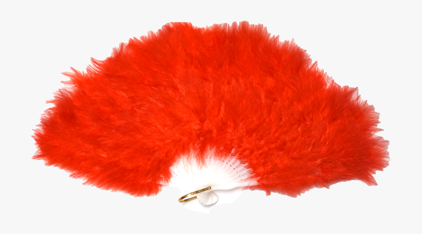 Dsc02796, HD Png Download