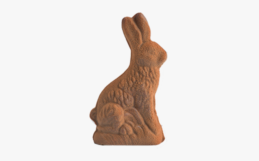 Domestic Rabbit, HD Png Download