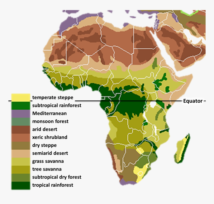 Vegetation Africa - Ancient Africa Geography, HD Png Download