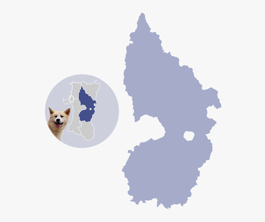 American Eskimo Dog, HD Png Download