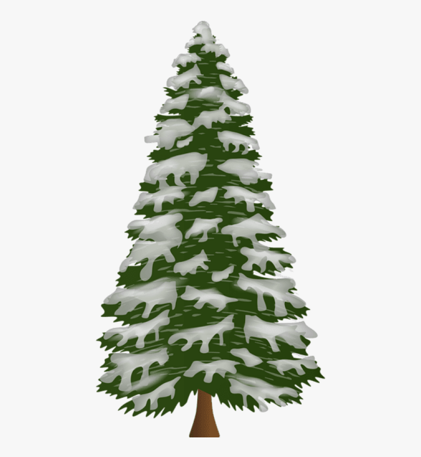 Pine Tree Png - Portable Network Graphics, Transparent Png