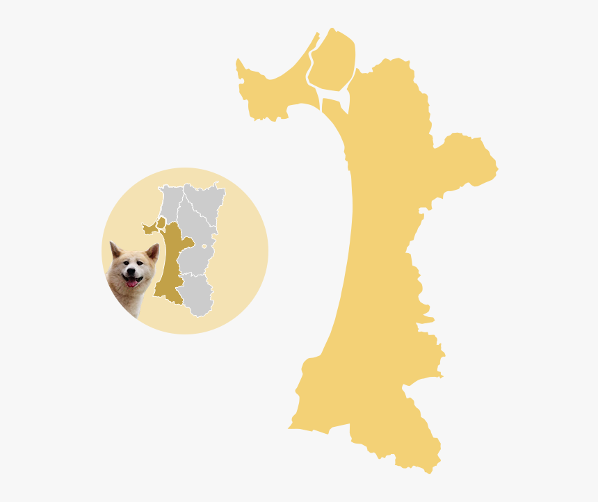 Canadian Eskimo Dog, HD Png Download