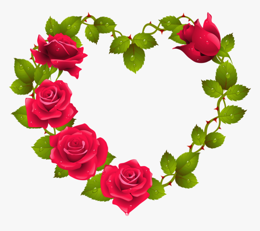 Png Pinterest Red - Beautiful Rose Image Download, Transparent Png