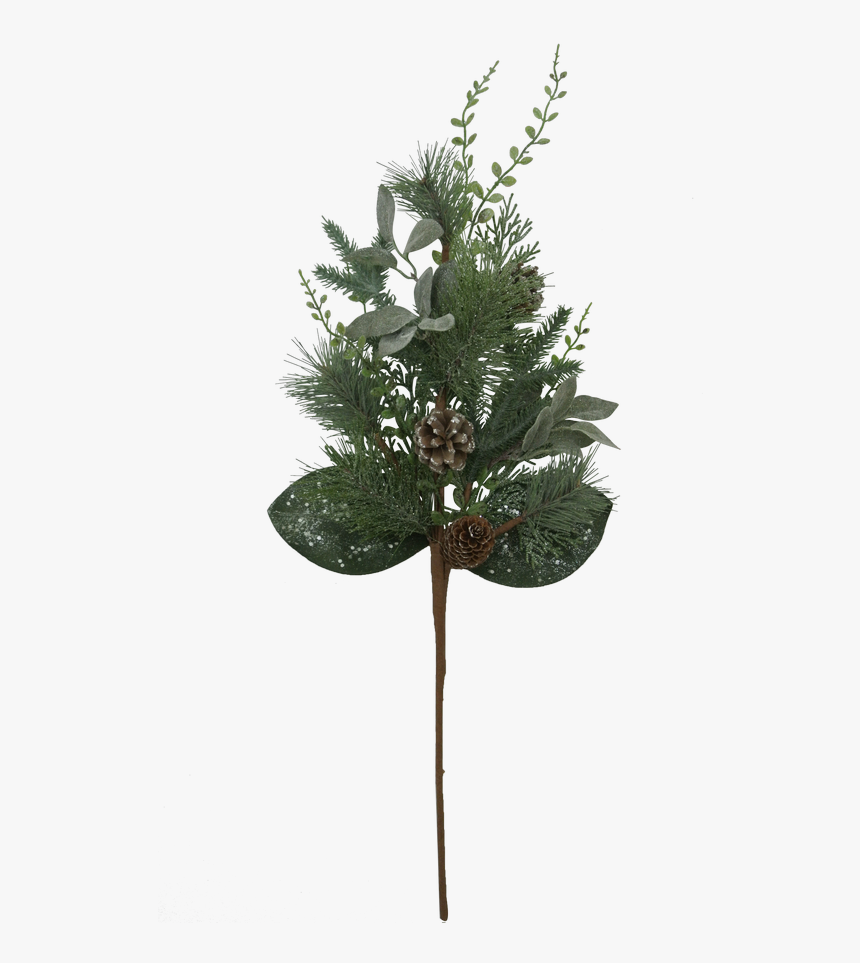 Christmas Tree, HD Png Download