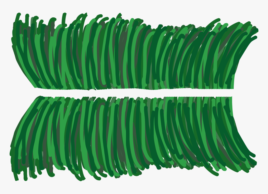 Tree, HD Png Download