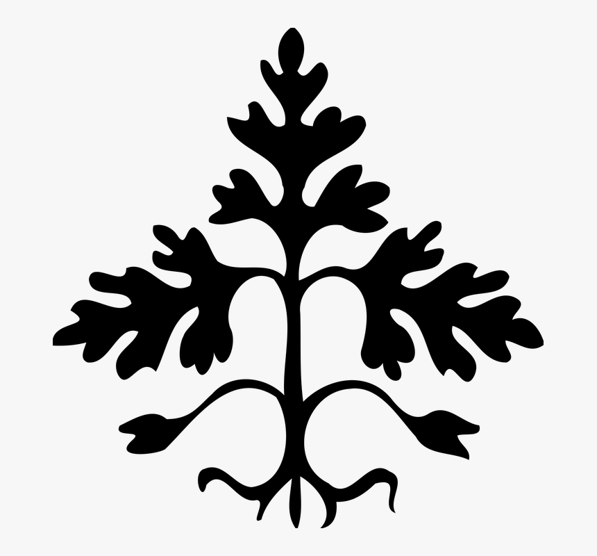 Abstract, Leaf, Leafy, Leaves, Plant, Silhouette - Leaves Black Abstract Png, Transparent Png