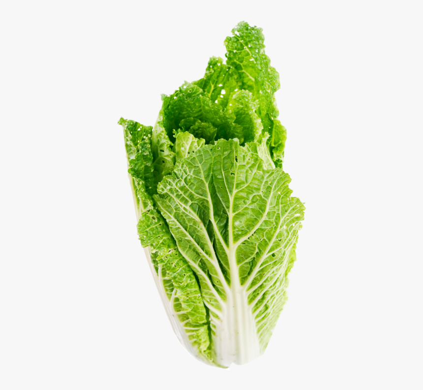 Lettuce Leaves Png, Transparent Png