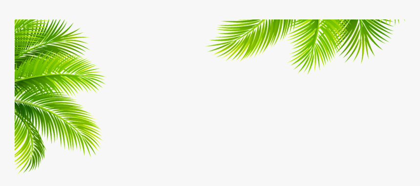 Transparent For Tropical Plant Elements - Tropical Plant Png, Png Download