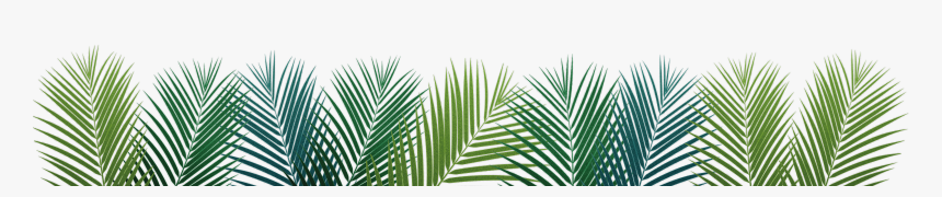 Palm Leaf Facebook Cover, HD Png Download