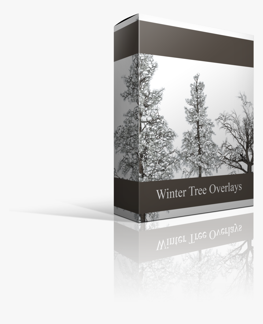 Spruce, HD Png Download