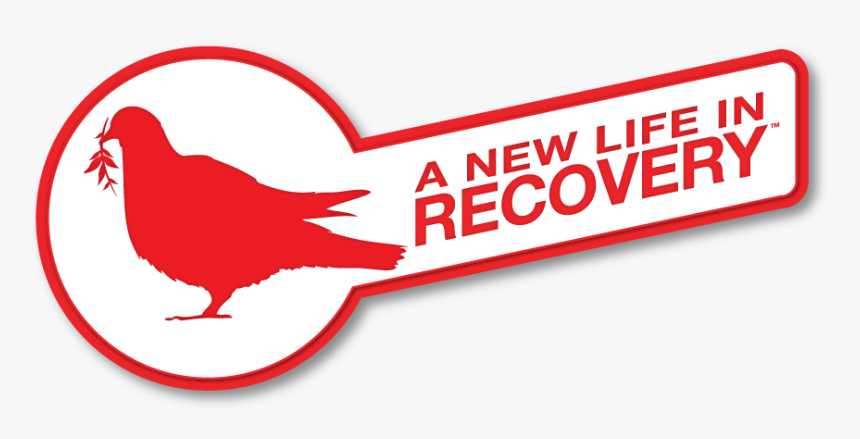 Cropped-opening Logo2 - Chicken, HD Png Download