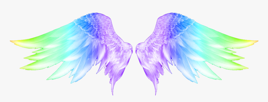#wings #colorful #colorfulwings #angelwings #carnaval - Angel Wings Png Hd, Transparent Png
