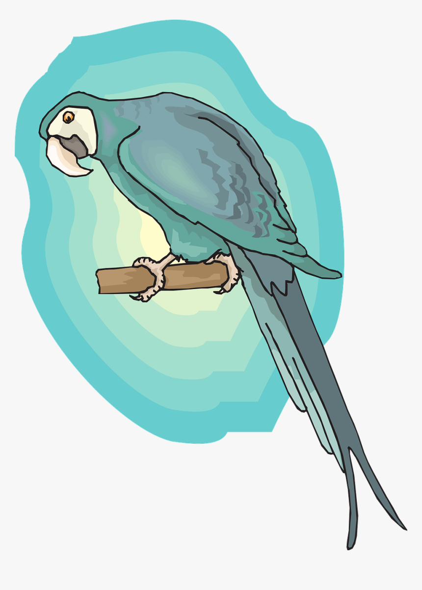 Wings Png Blue Bird Background Picpng Image - Macaw, Transparent Png