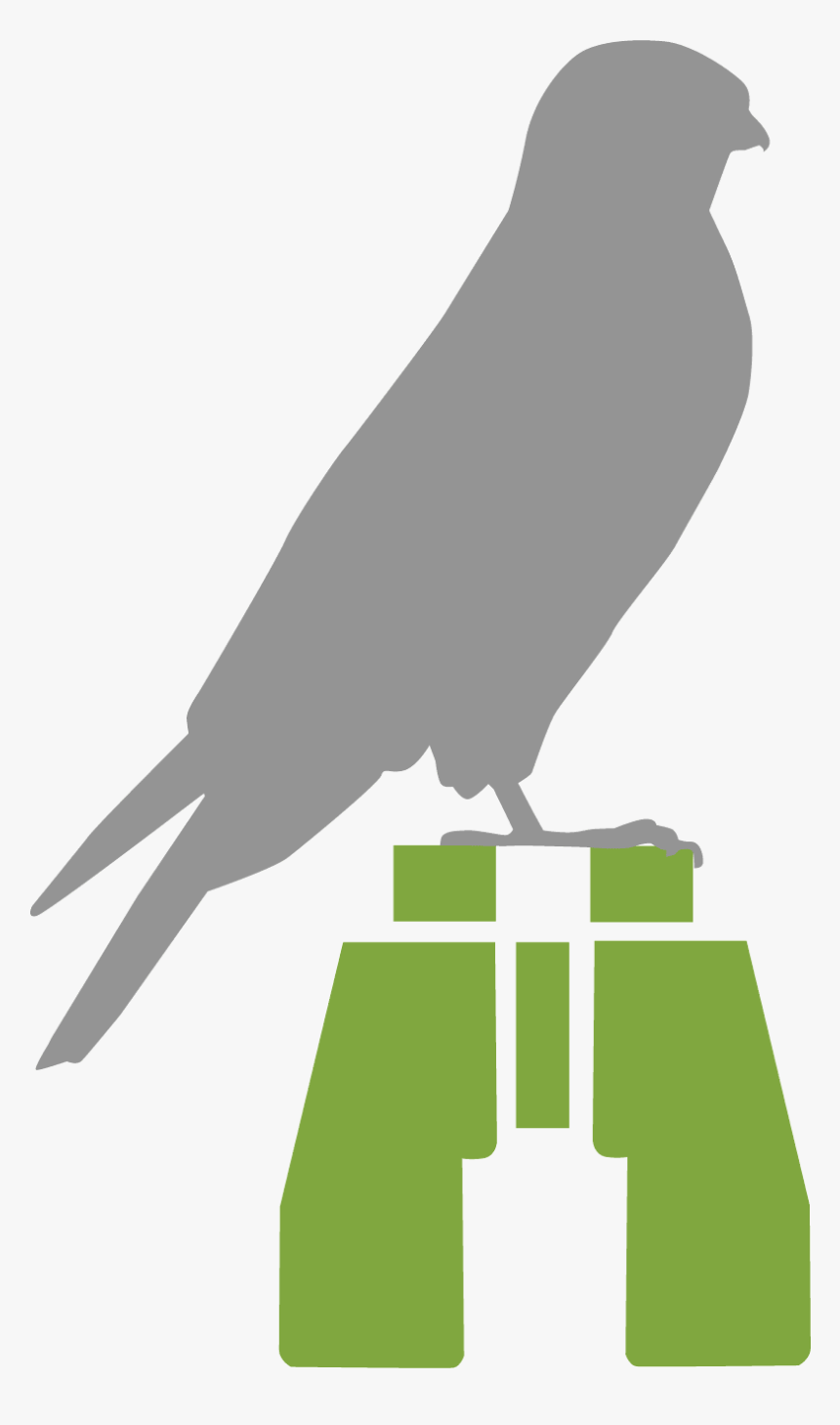 Crow Wings Png -browse By Family, All About Birds, - Binoculars Clip Art, Transparent Png