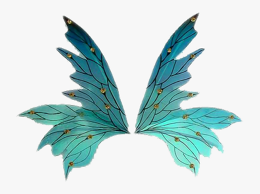 #asas #fada #wings #fairy From Google - Illustration, HD Png Download