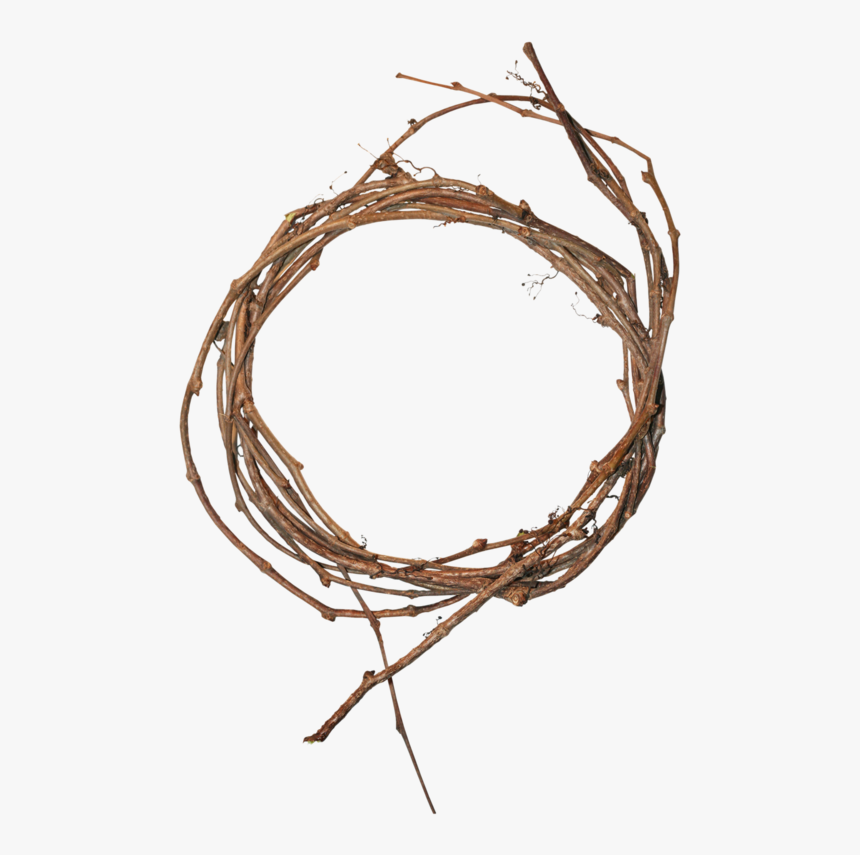 Circle, HD Png Download