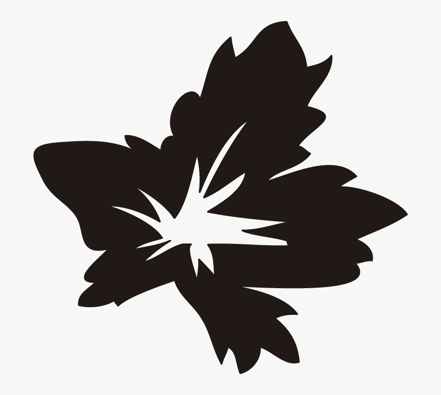 Hippeastrum, HD Png Download