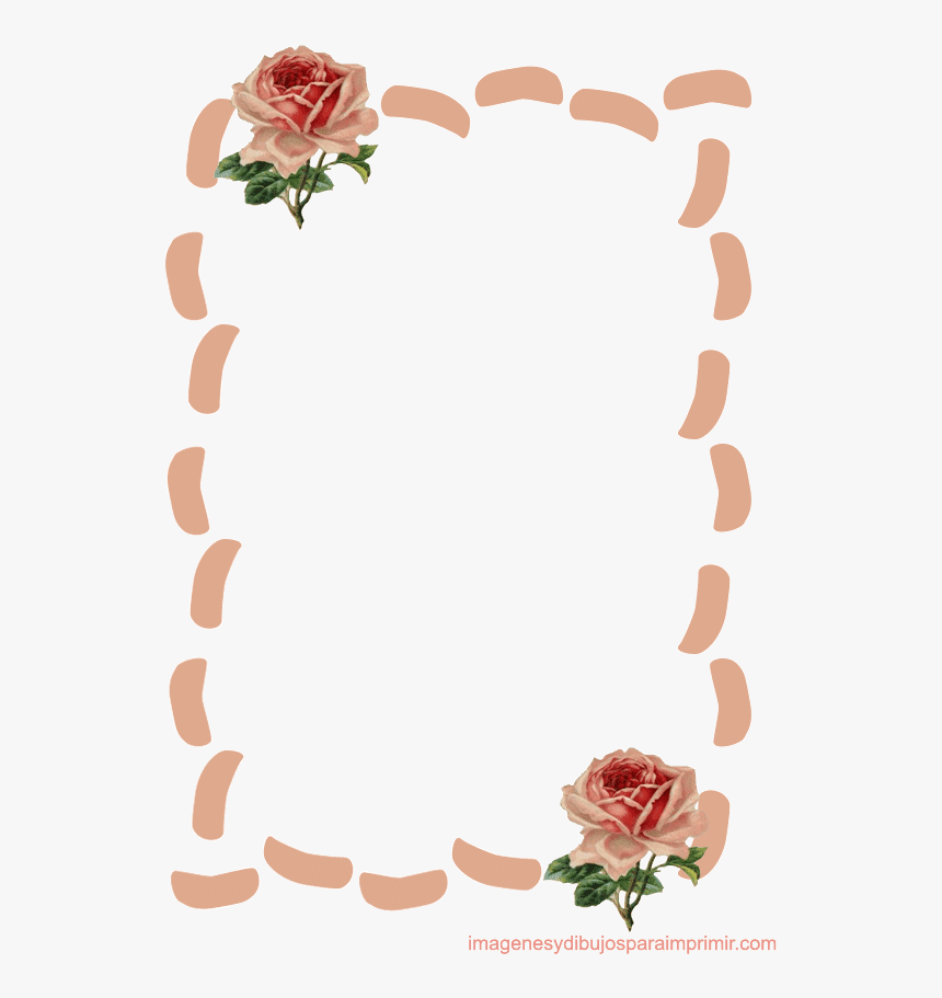 Garden Roses, HD Png Download