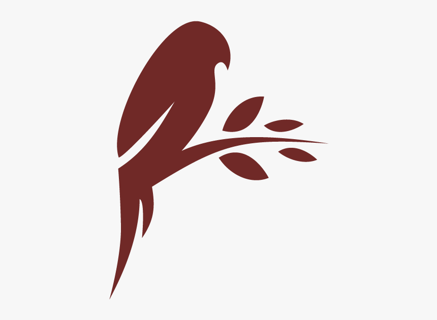 Null - Parrot, HD Png Download