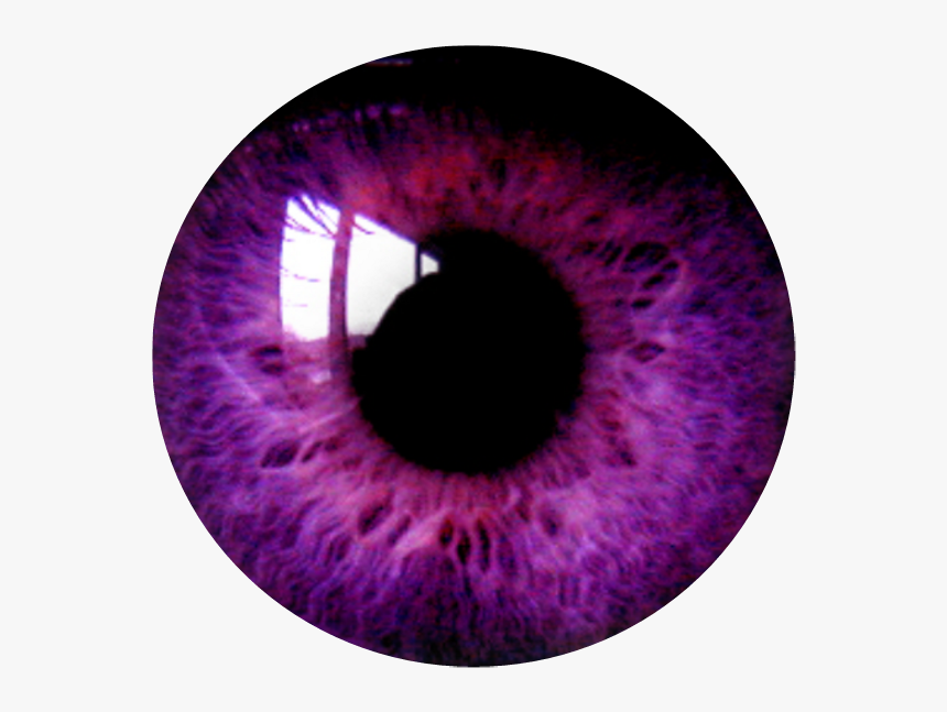 #circle #png #tumblr #aesthetic #remixit #círculo #freetoedit - Purple Eye Transparent Background, Png Download