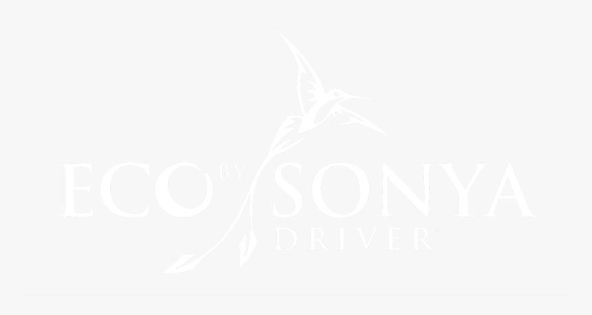 Sketch, HD Png Download