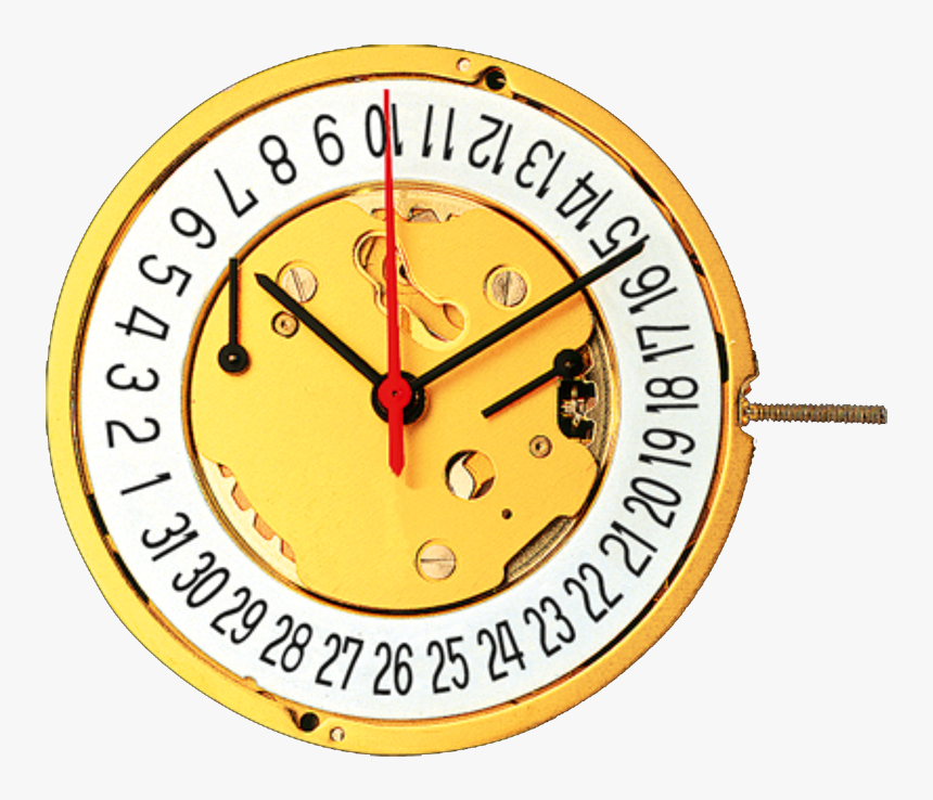 D Quartz Movement For Wristwatches 12½ - September 28 World Rabies Day, HD Png Download