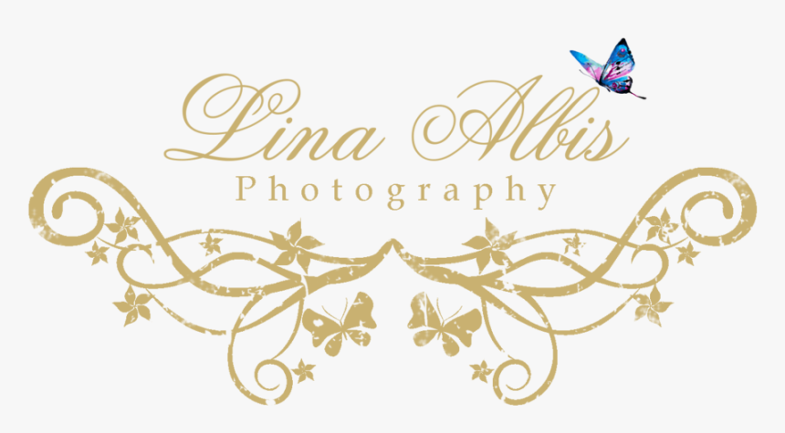 Photography Logo Png File - Calligraphy, Transparent Png