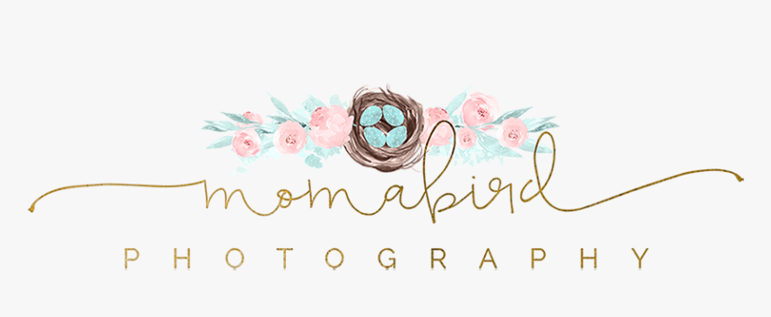 Scottsdale Newborn Photographer » Momabird Photography - Garden Roses, HD Png Download
