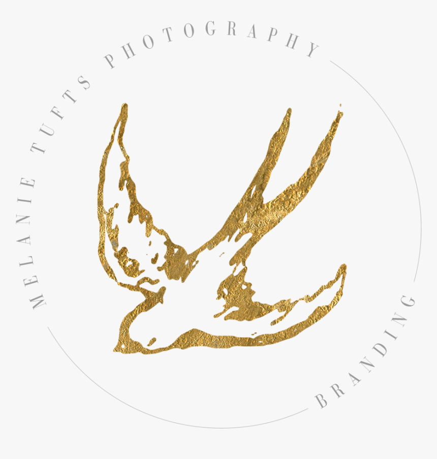 Mel Tufts Photography Logo Stamp - Emblem, HD Png Download