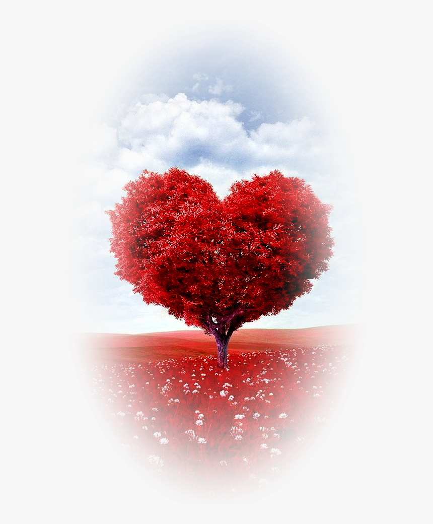 Love, HD Png Download