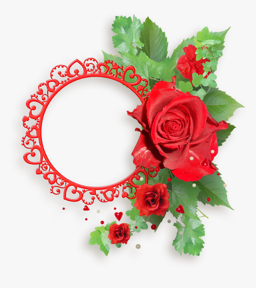 Floral Frame Png - Forget Me Not Red Flower, Transparent Png