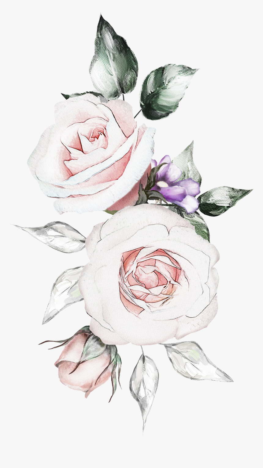 Floribunda, HD Png Download