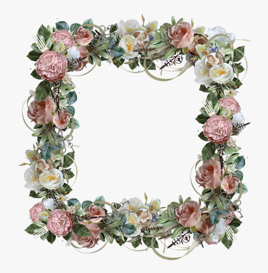 Garden Roses, HD Png Download