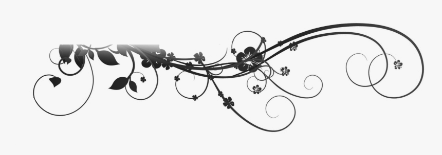 Transparent Dividers Fancy - Dividers Black And White, HD Png Download