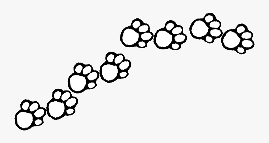 Wildcat Clipart Bear Claw - Printable Paw Clipart Black And White, HD Png Download