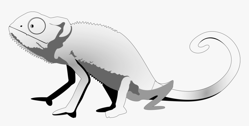 Jpg Black And White Stock Lizard Common Gecko Clip - Iguana Black And White, HD Png Download