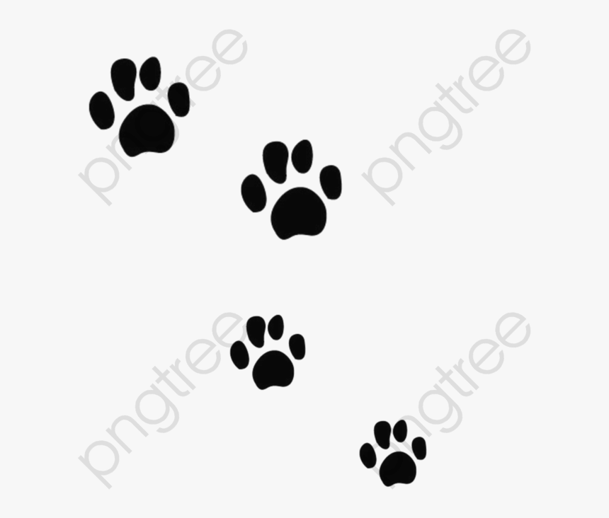 Black Prints Clipart Mark - Bear Paw Prints Png, Transparent Png