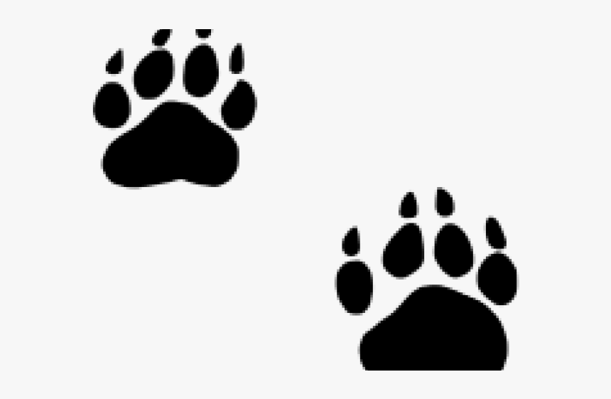 Paws Clipart Ucla - Transparent Bear Paw Png, Png Download