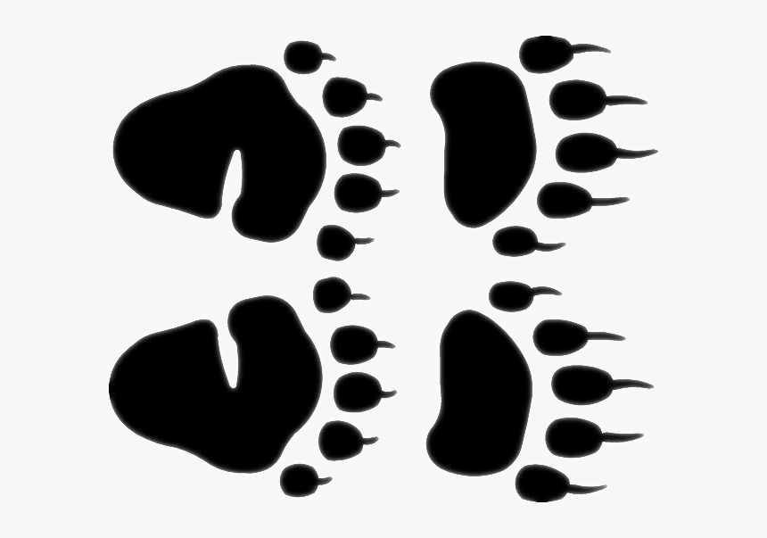 Black Bear Track Footprint, HD Png Download