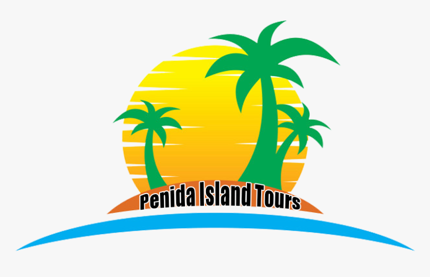Logo Websit, HD Png Download