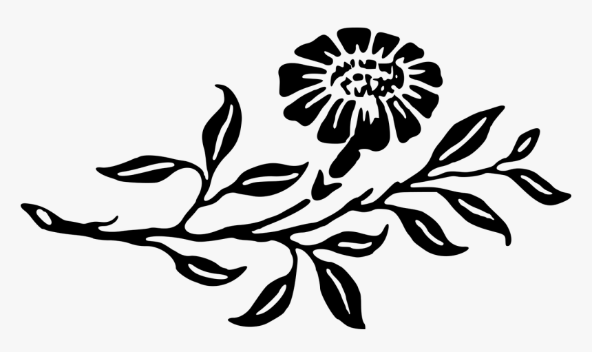 Portable Network Graphics, HD Png Download