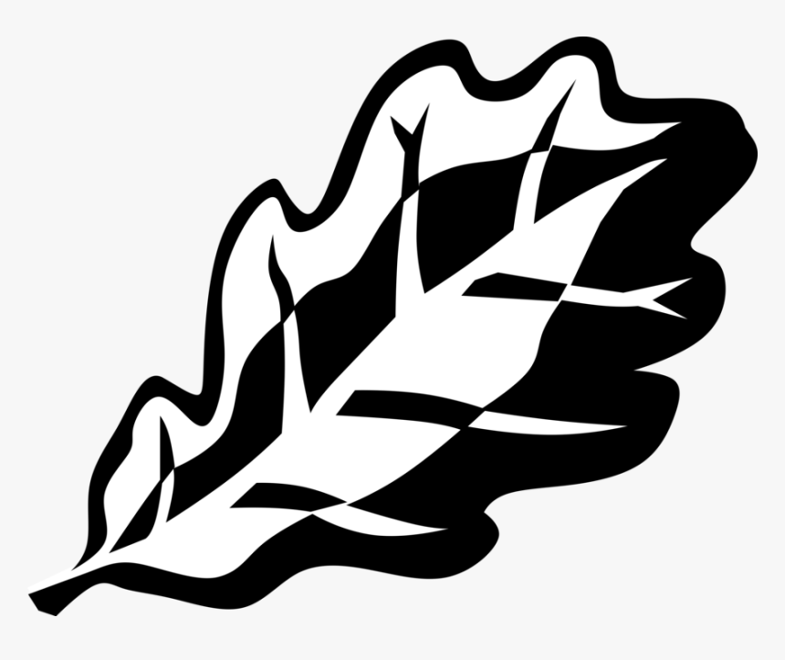 Clip Art Leaf Vector Black And White - Illustration, HD Png Download