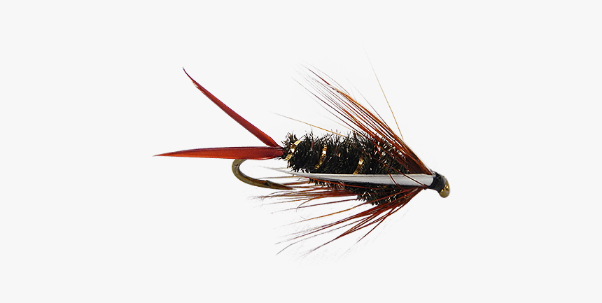 Insect, HD Png Download