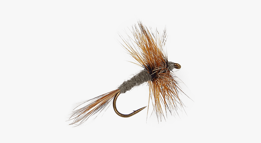 Trout Clipart Dry Fly - Insect, HD Png Download